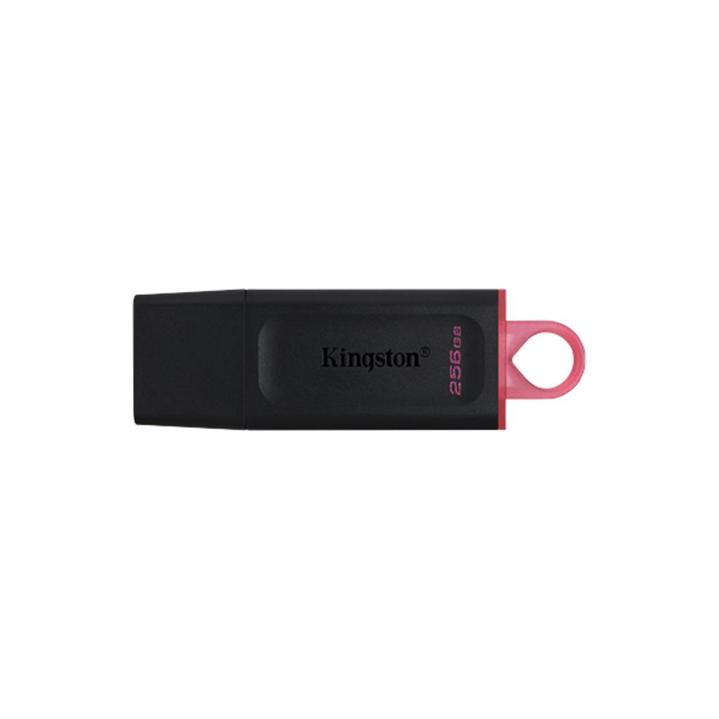 KINGSTON รุ่น DTX/256GB