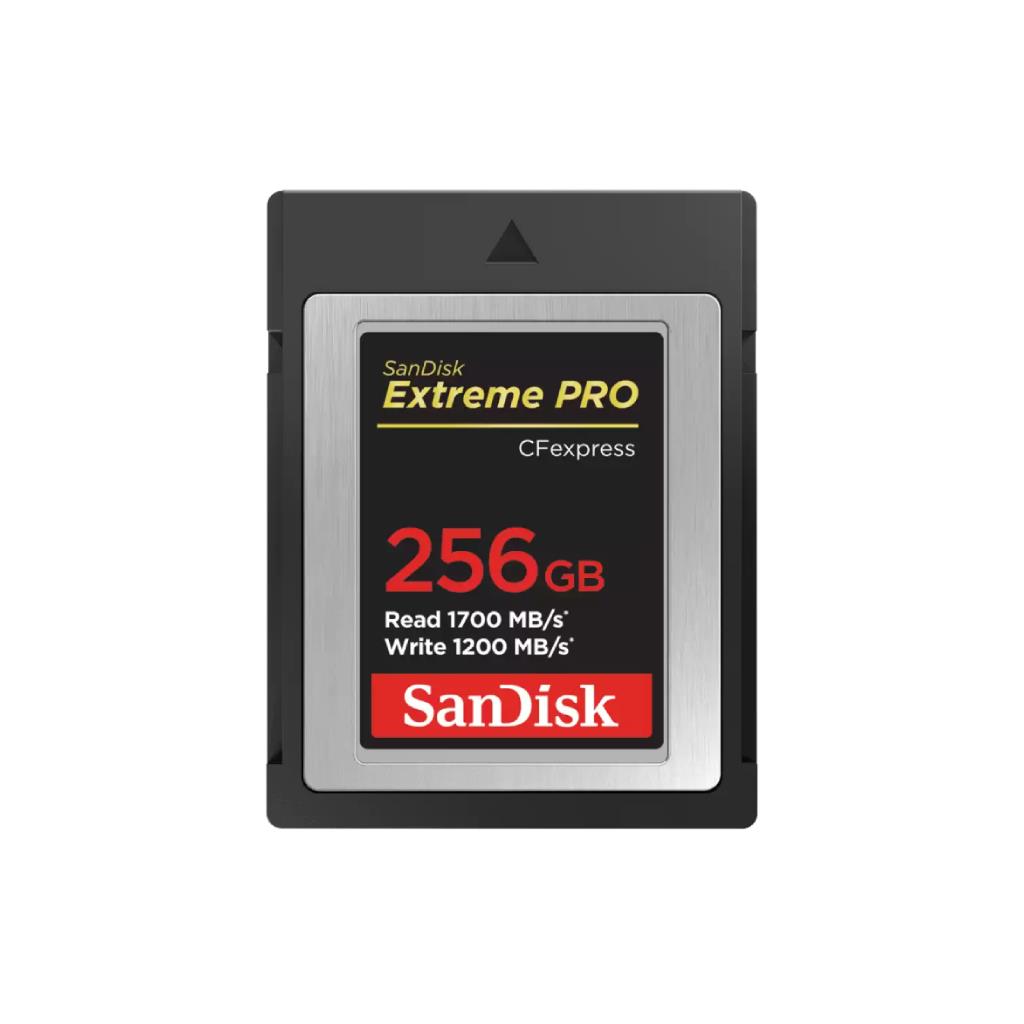 SANDISK รุ่น SDCFE-256G-GN4NN