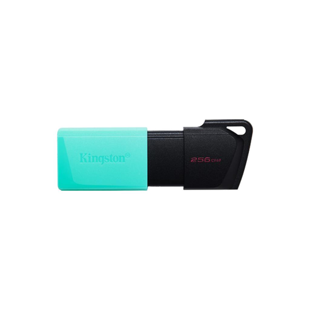 KINGSTON รุ่น DTXM/256GB