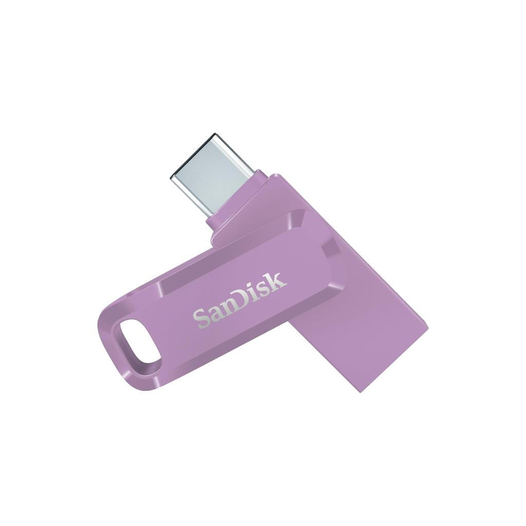 SANDISK รุ่น SDDDC3-256G-G46L